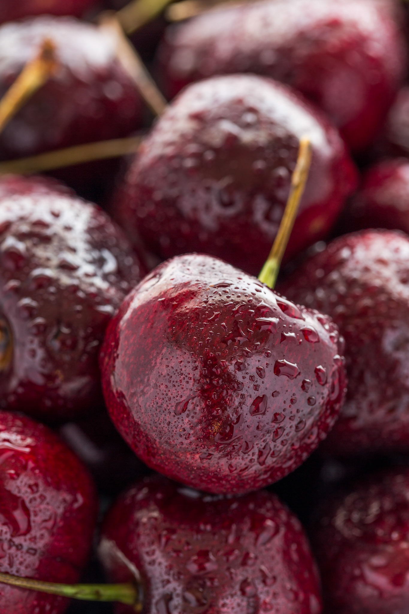 Close up of freshly washed cherries