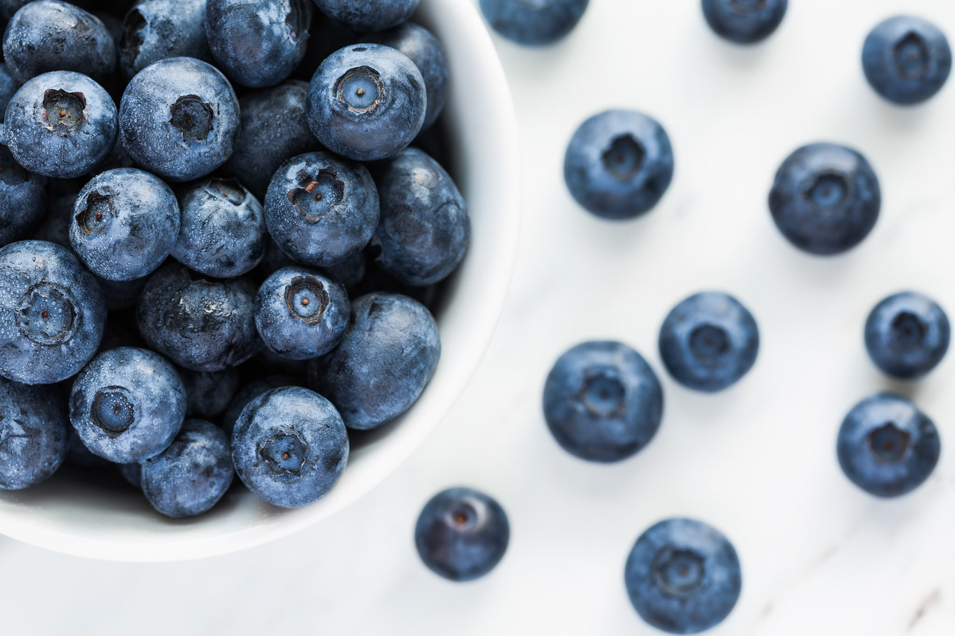 Bowl of fresh Blueberries