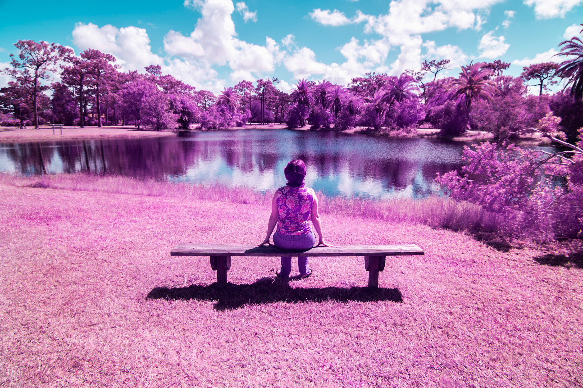 Florida's nature in infrared light