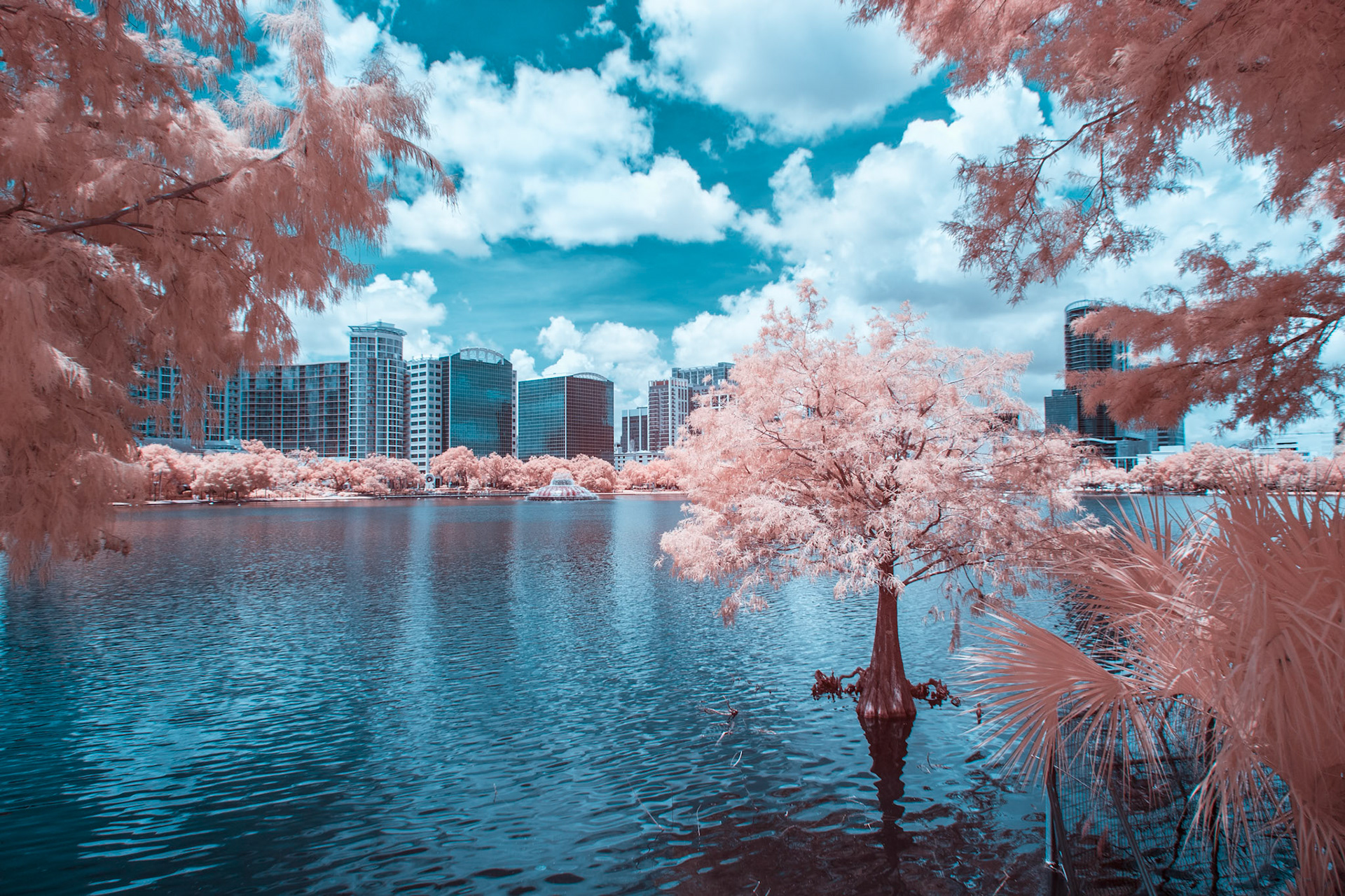 Orlando skyine in infrared