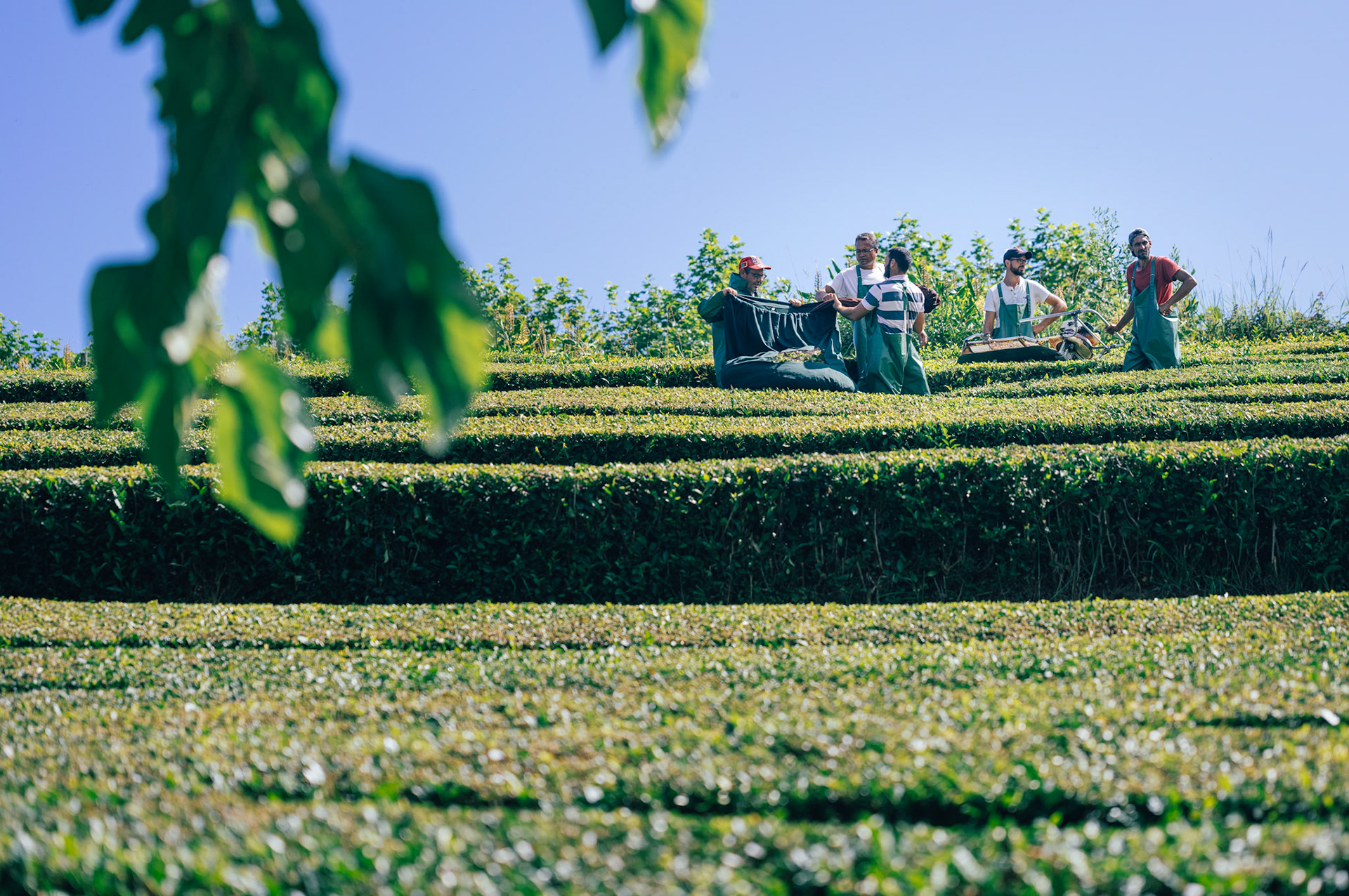 Azores, Portugal - 2021