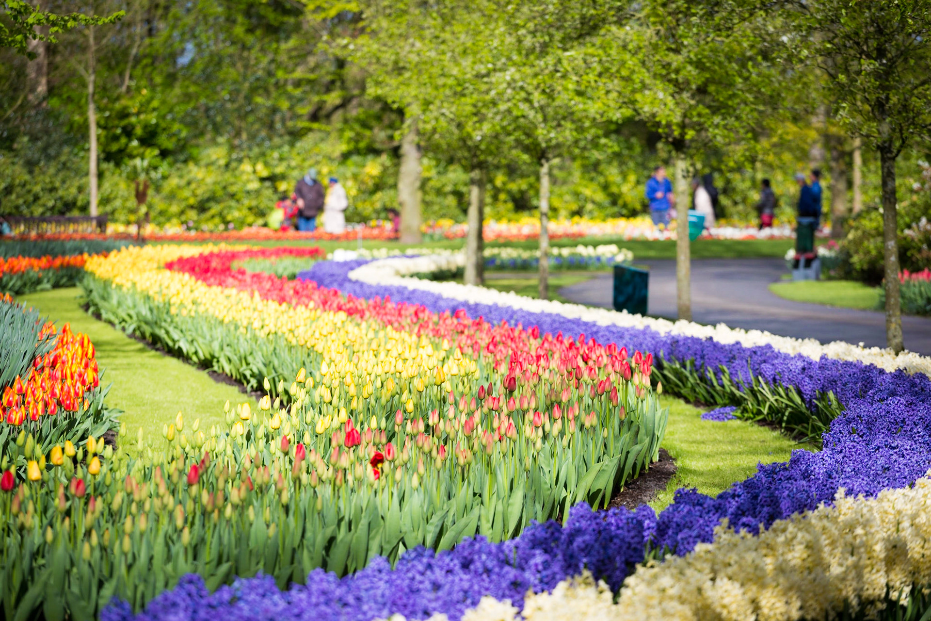 Tulips and flowers at Keukenhof gardens, Lisse, Netherlands