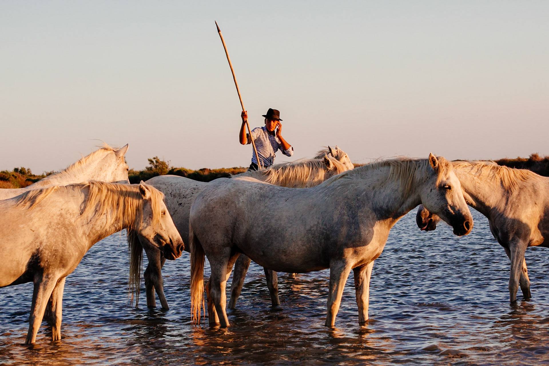 Camargue, France - 2018