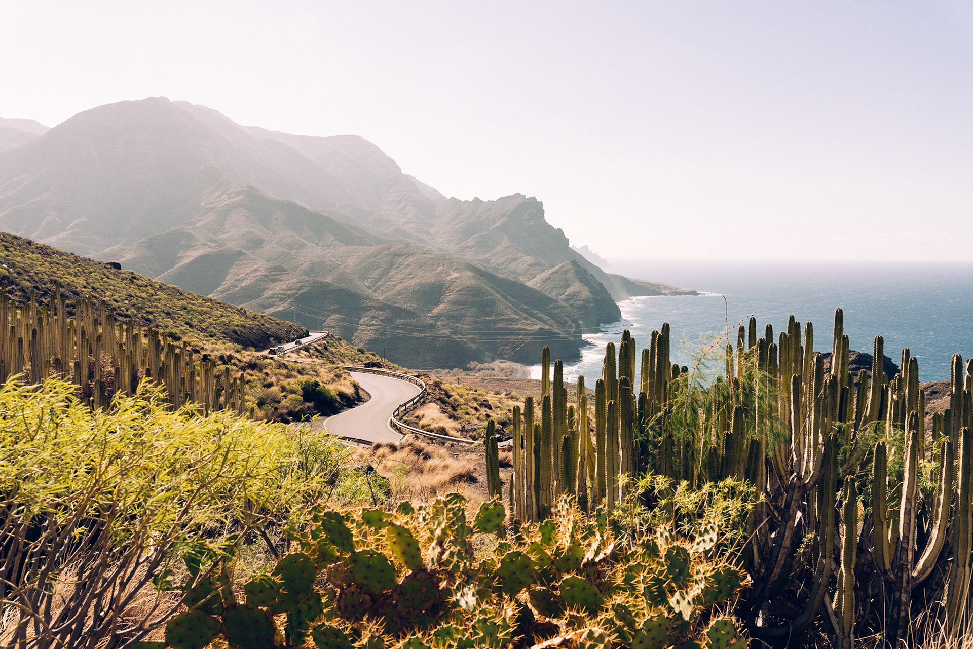 Cactus and scenic road by the ocean in Gran Canaria, Canaries. Gc -200 drive
