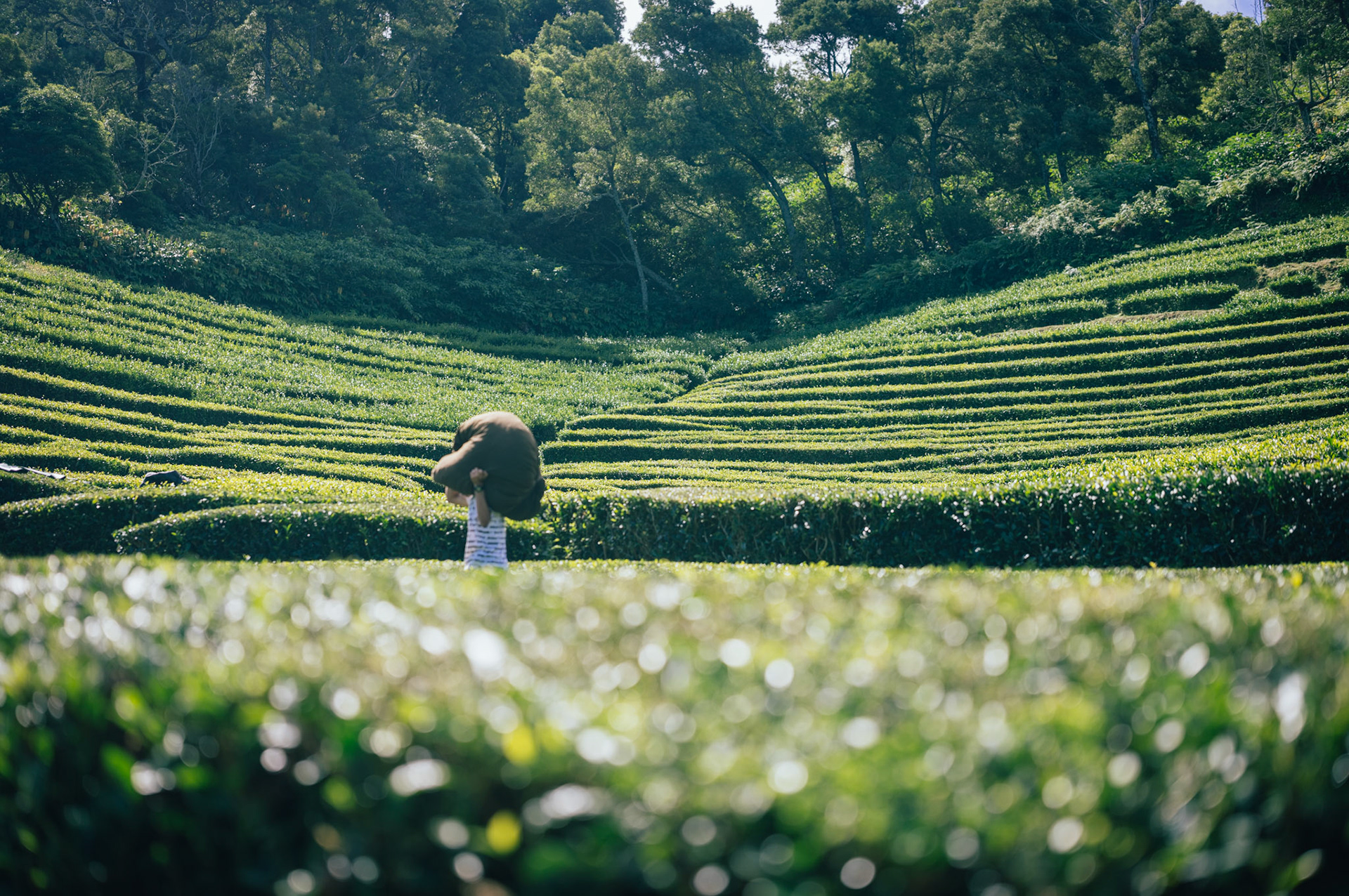 Azores, Portugal - 2021