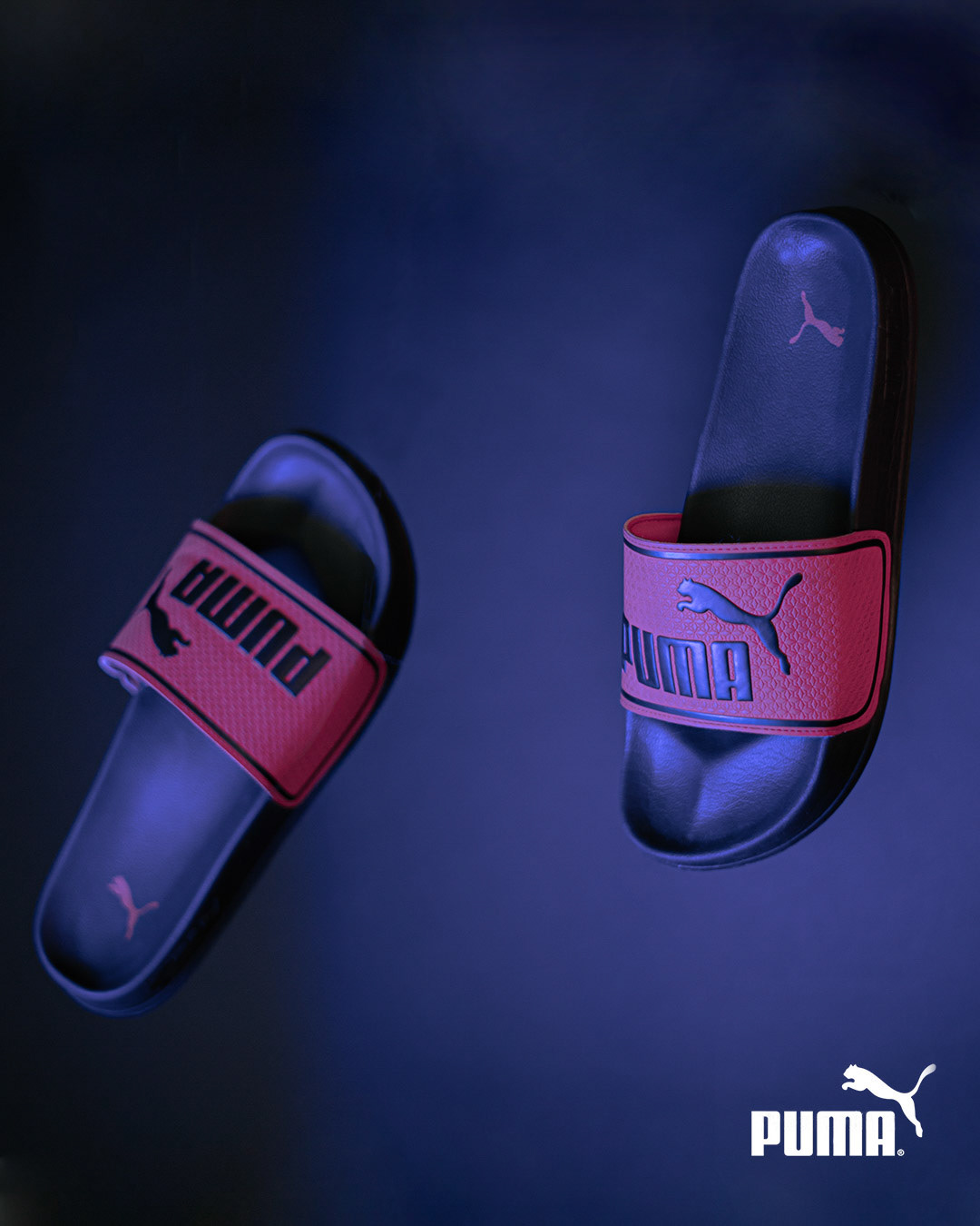 Producto/estudio