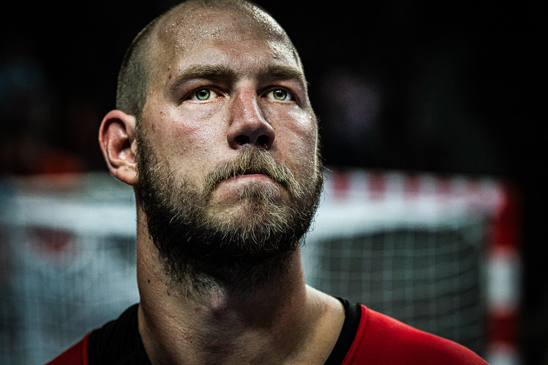 Andreas Nilsson - Handball Player
