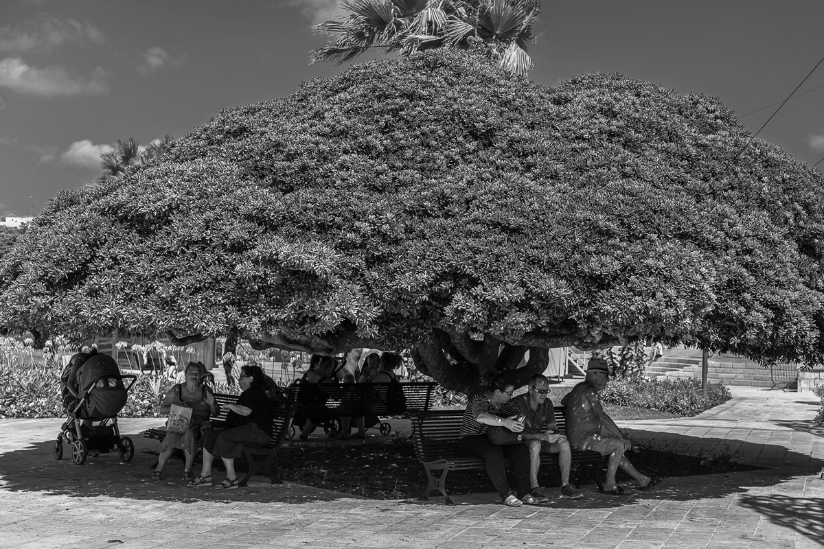 "Siesta"