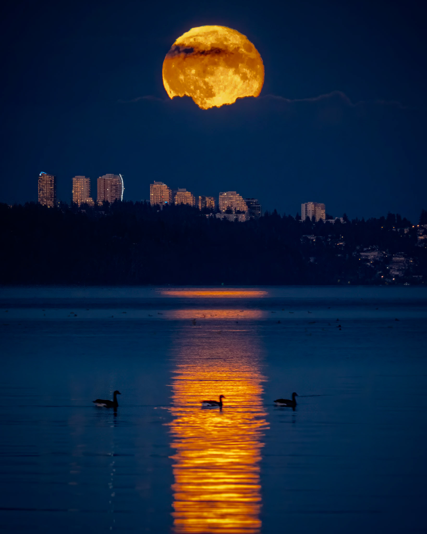 Moonrise