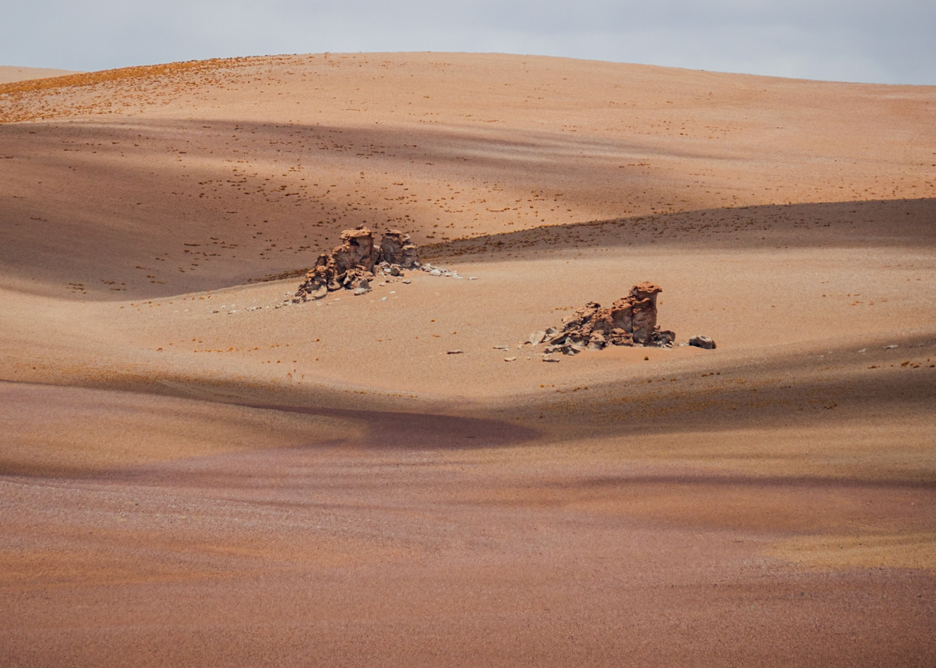 Salvador Dalí Desert