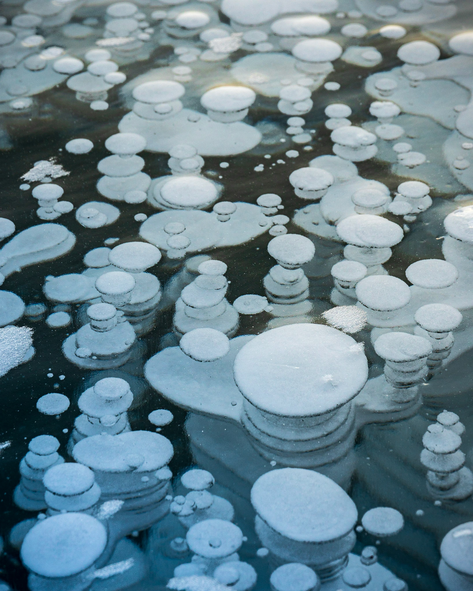 Froze Bubbles