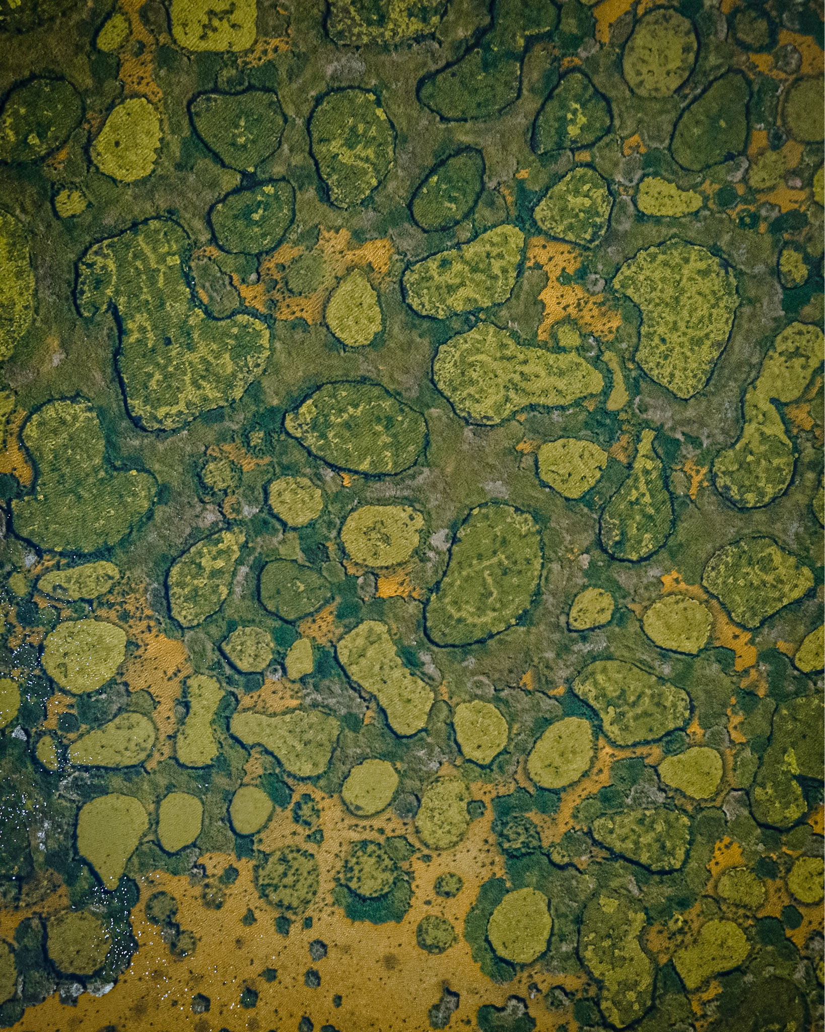Spotted Lake
