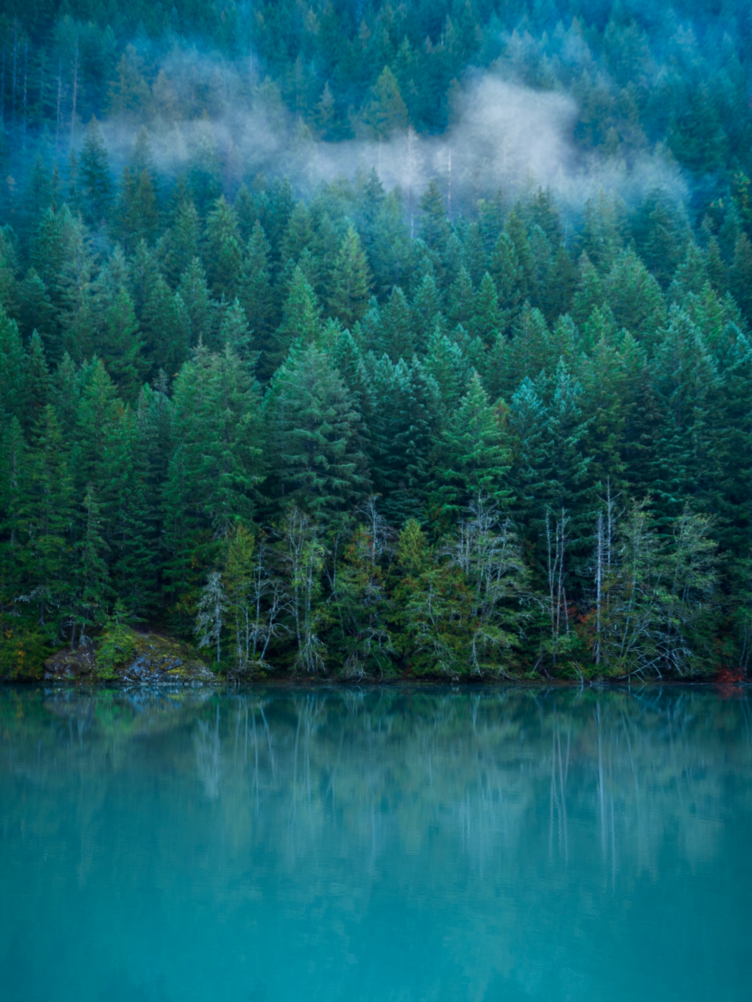 Lake Forest
