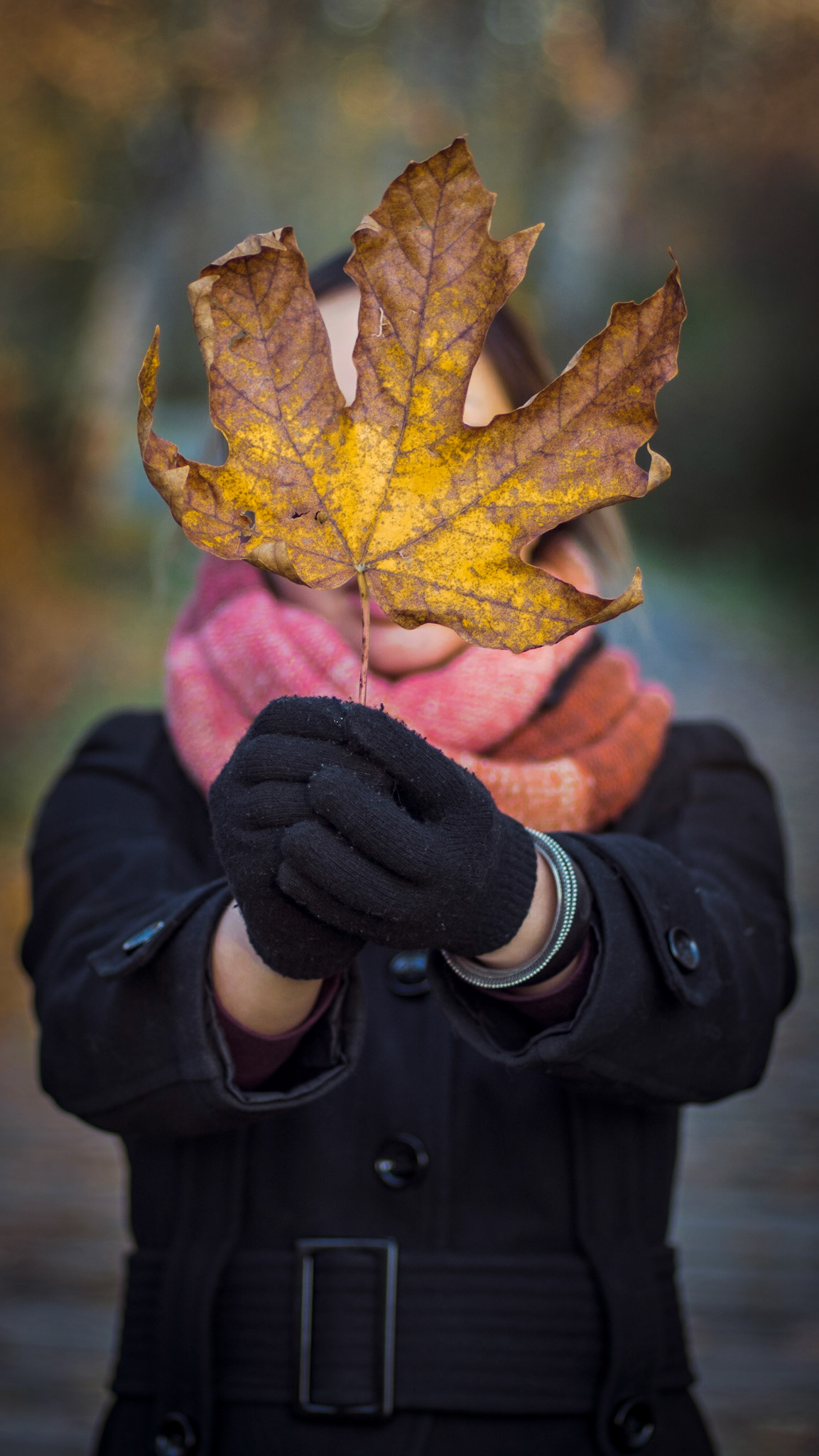 Giant Leaf