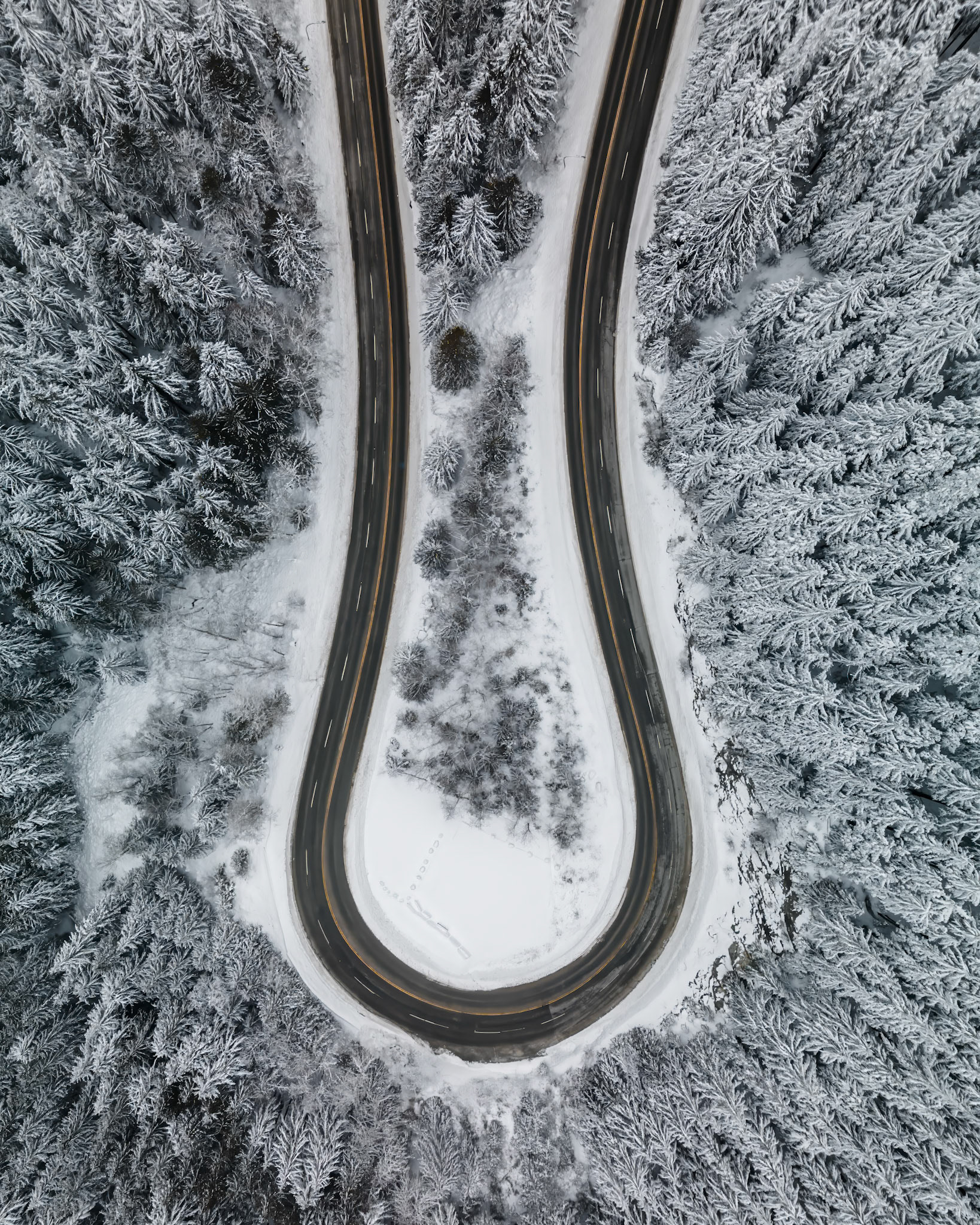 Snowy Bends