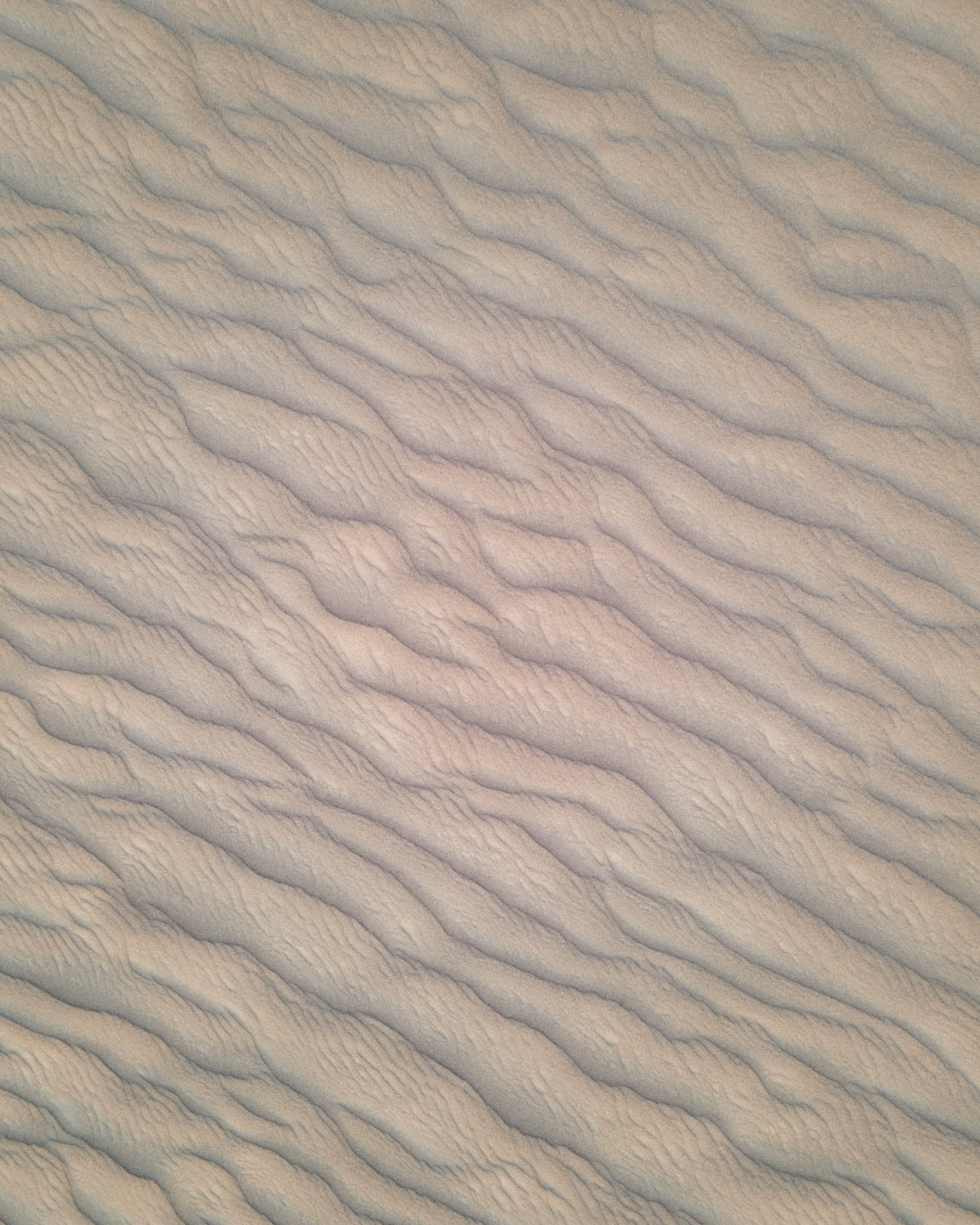 Desert Patterns