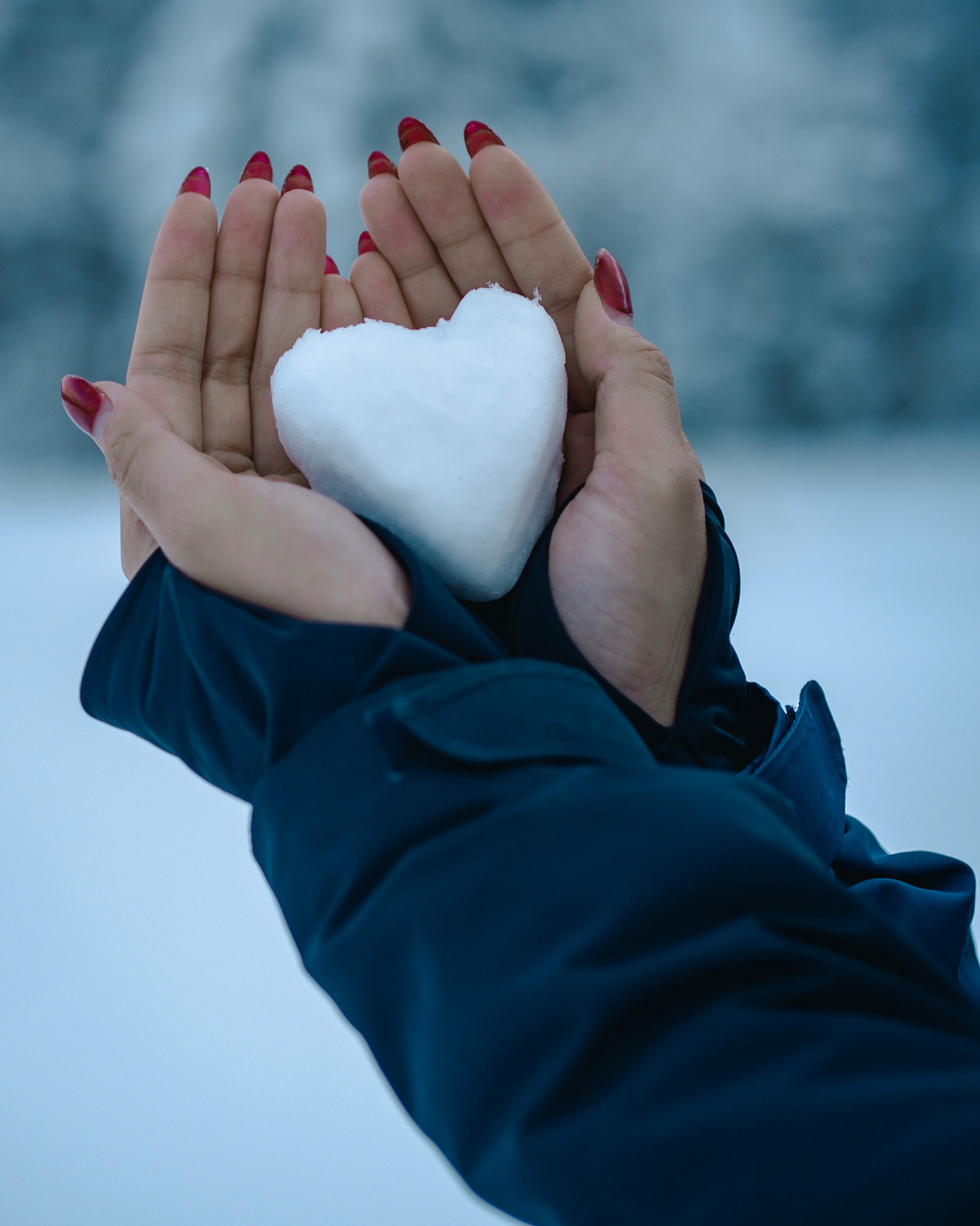 Snow Love