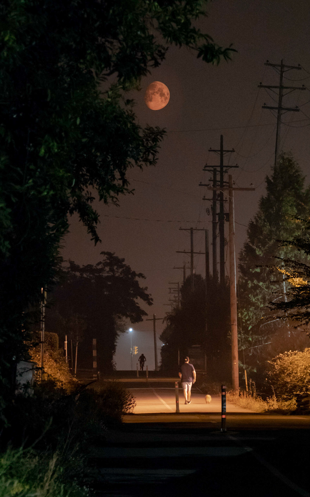 Forest Fire Moon over the Artbutus Greenway