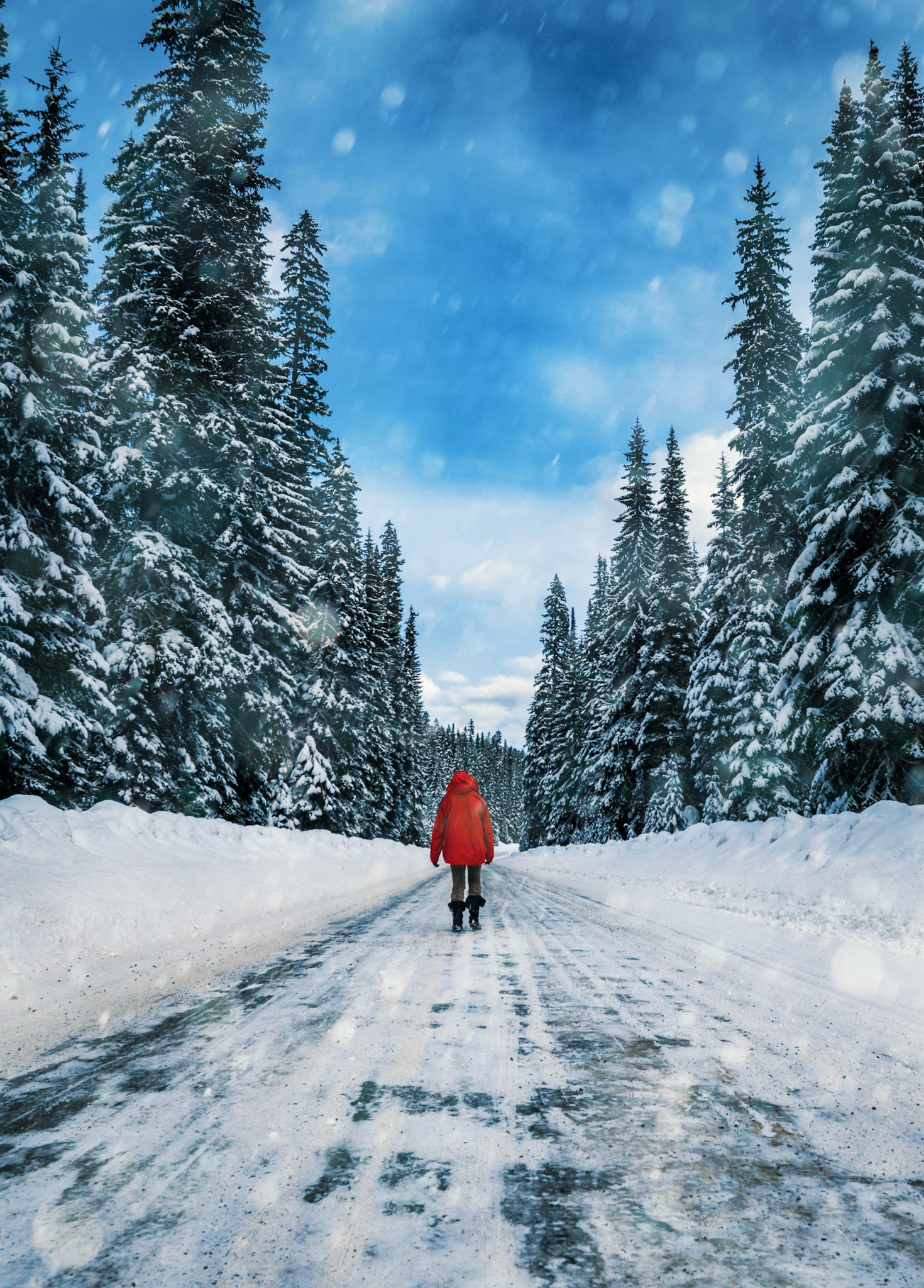 Frozen Road