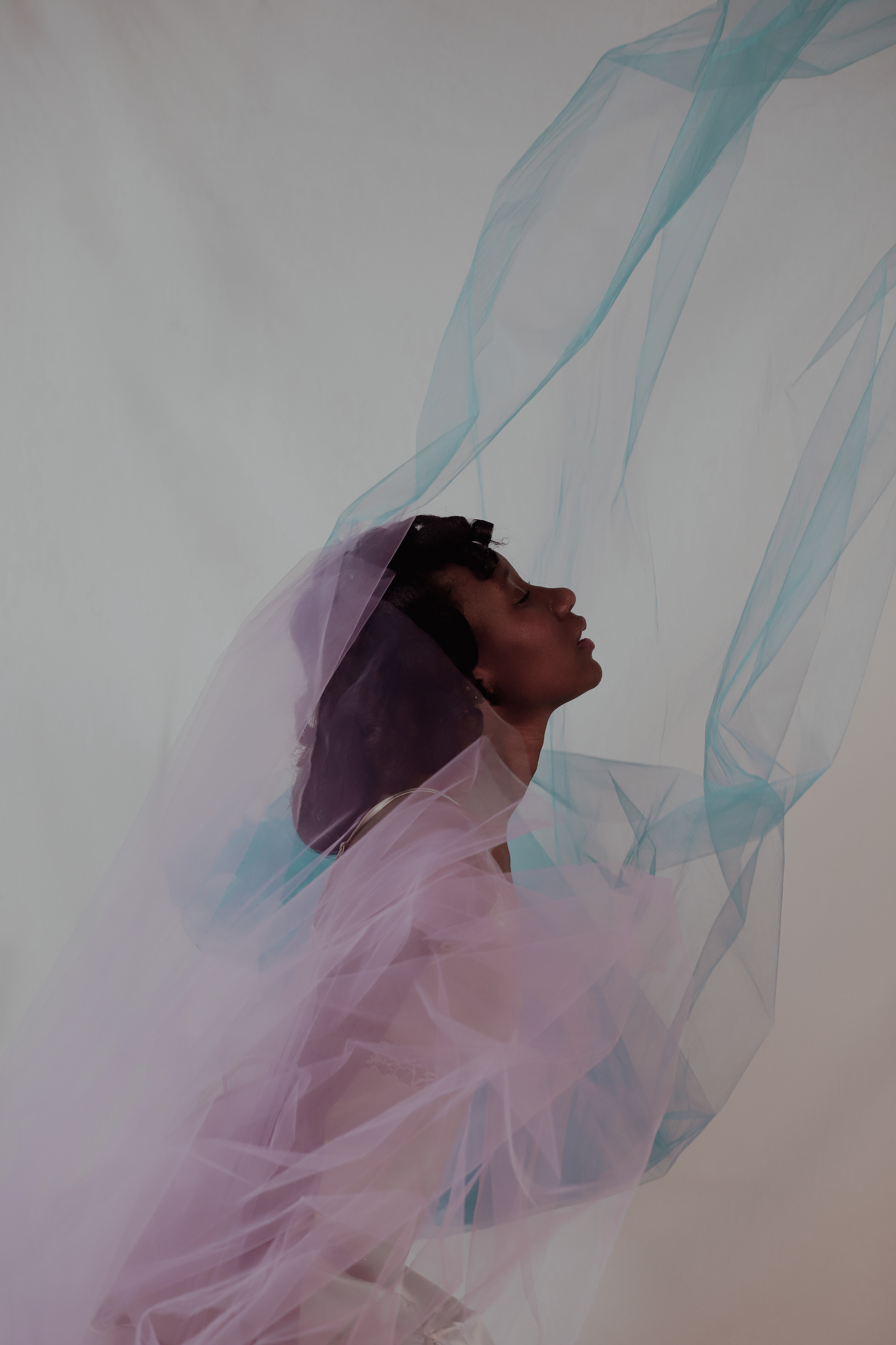 "Dream" Model: Lache 