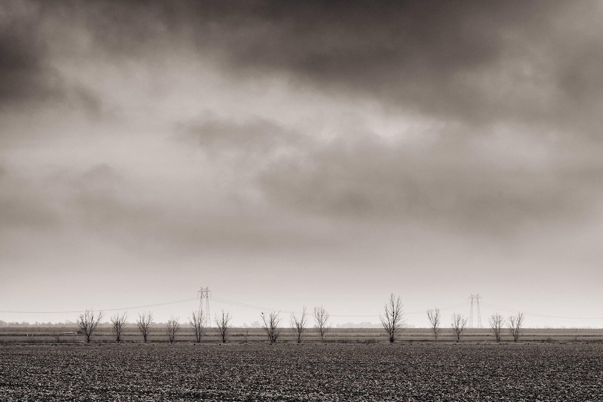 Winter Fallow