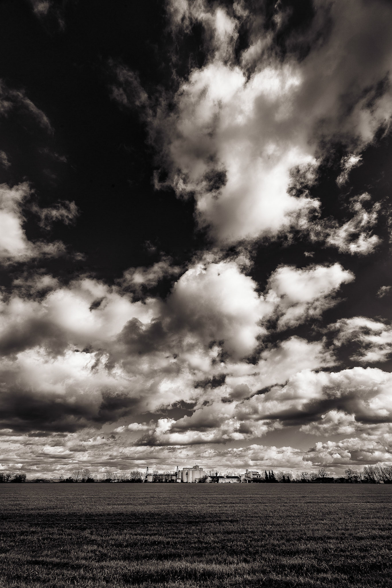 Rice Mill Under a Big Sky, 2018