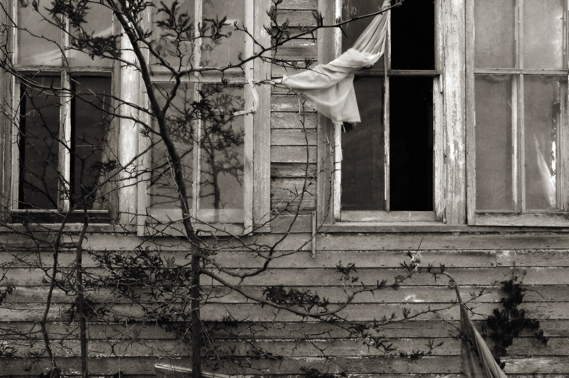 Taylor Farm Schoolhouse #3