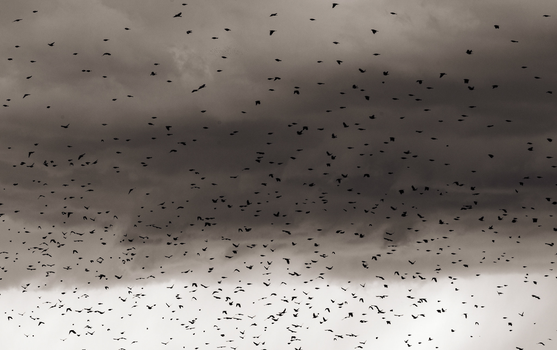 Chaos