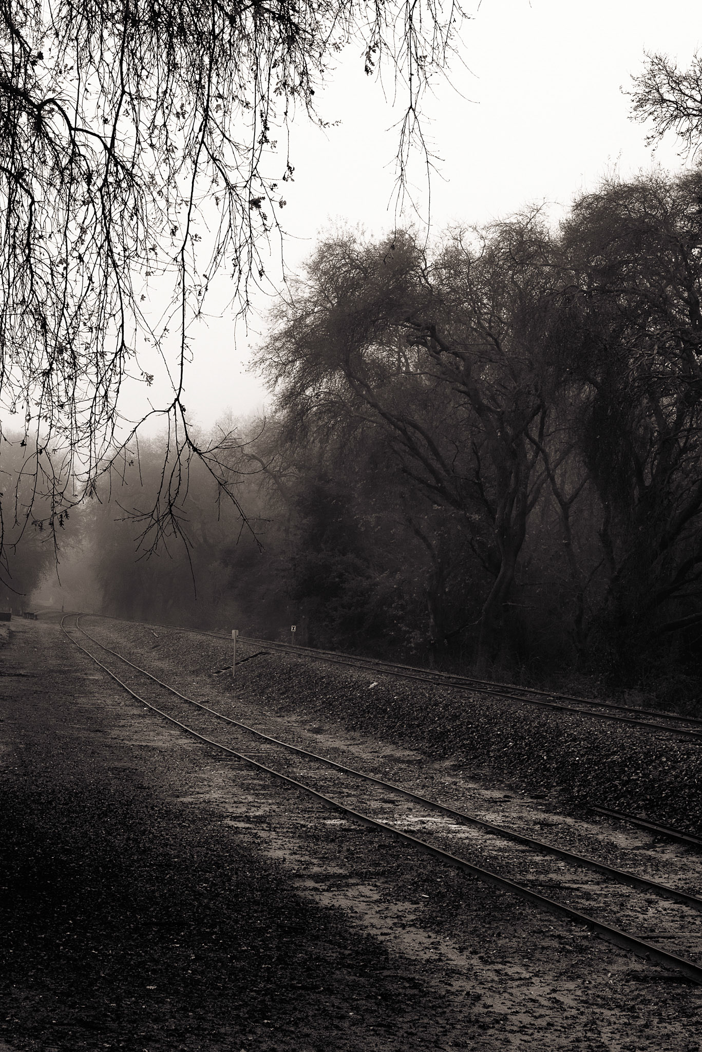 Destination Unknown