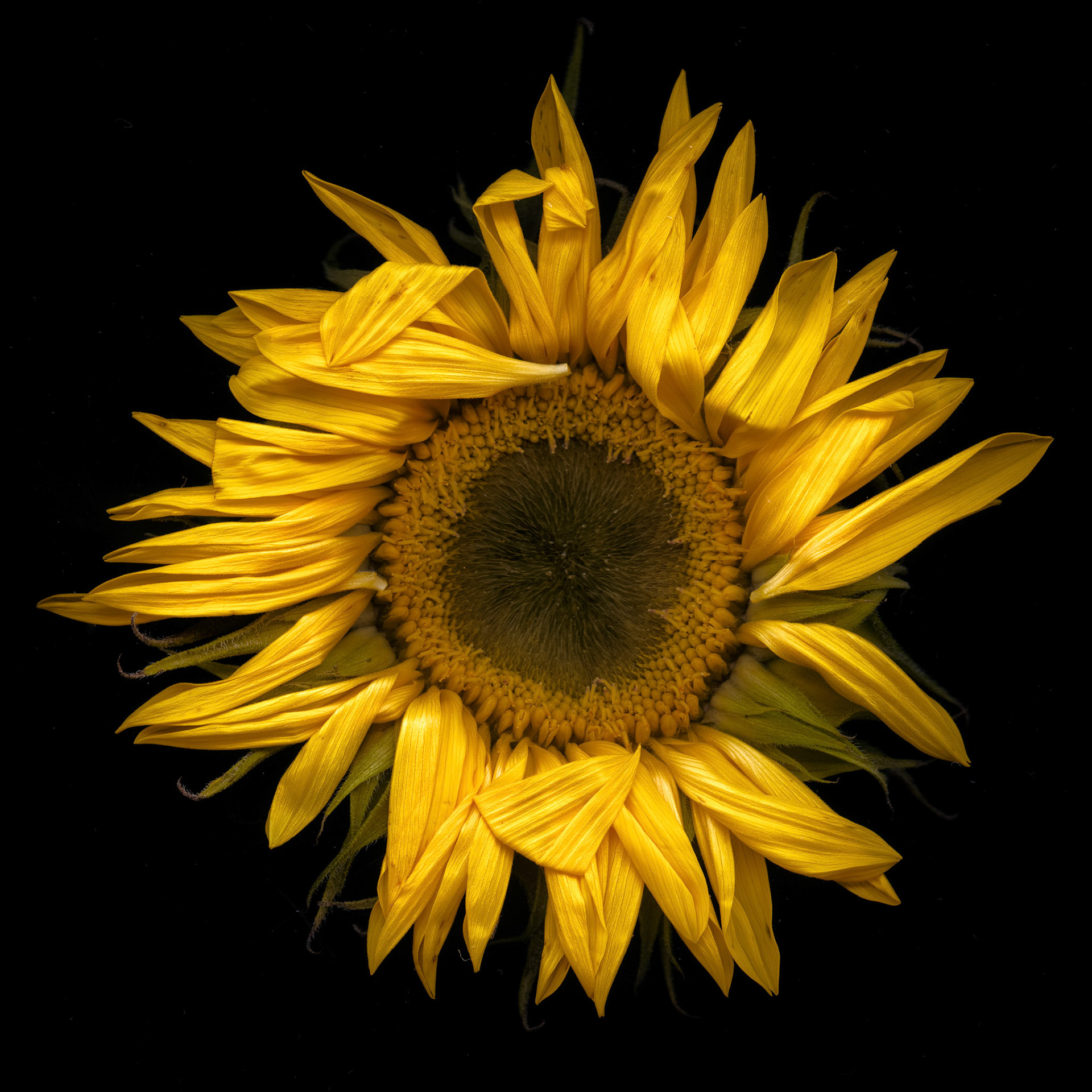 Helios