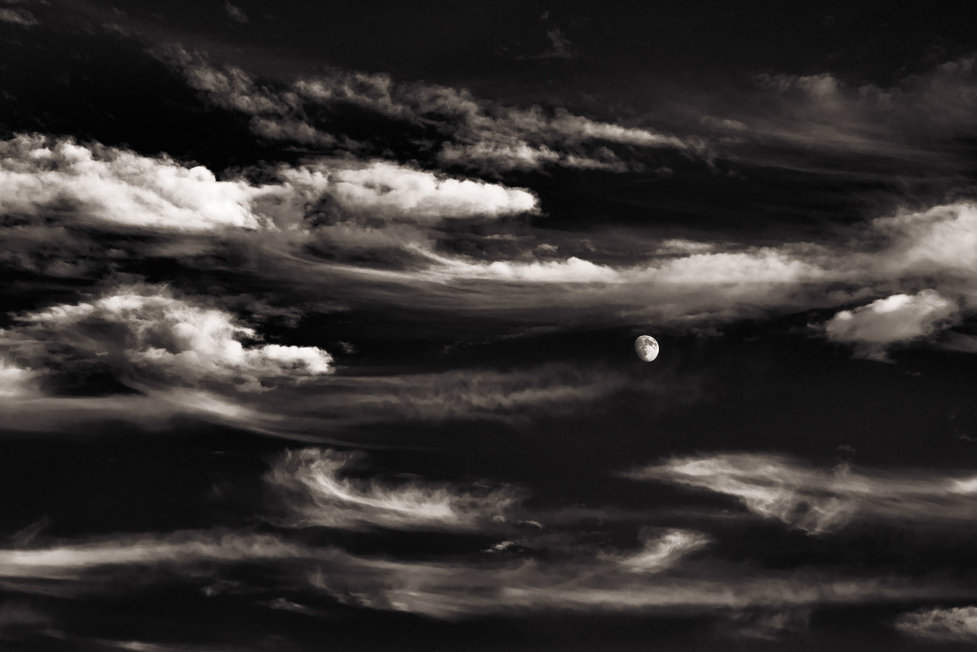 Luna Floating on a Sea of Clouds, 2012