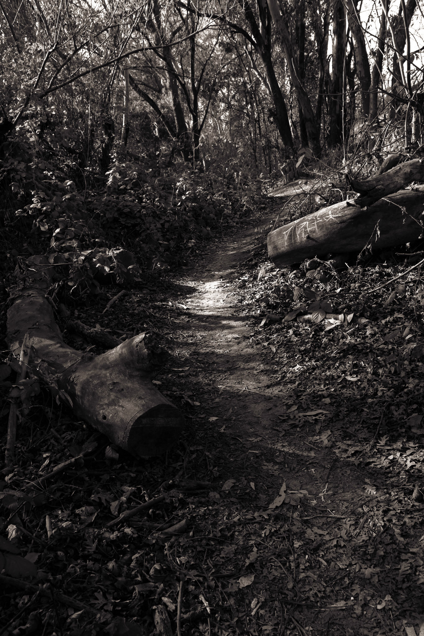 Finding My Way