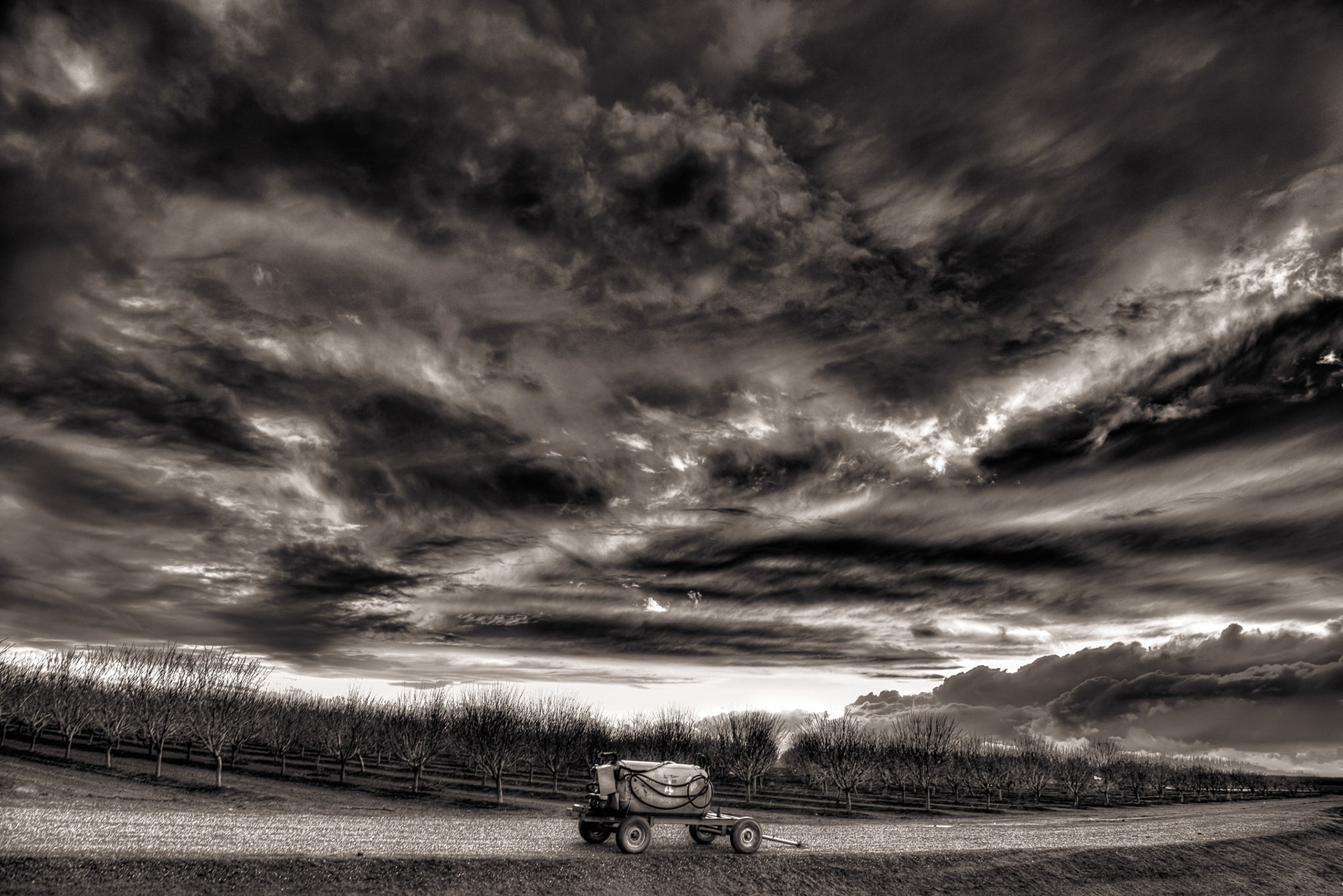 Storm Clouds Over the Orchard, 2021