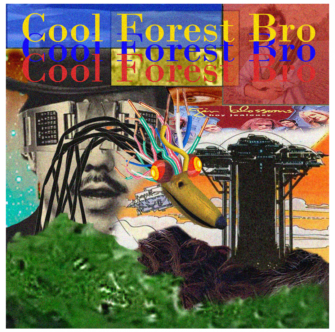 Cool Forest Bro