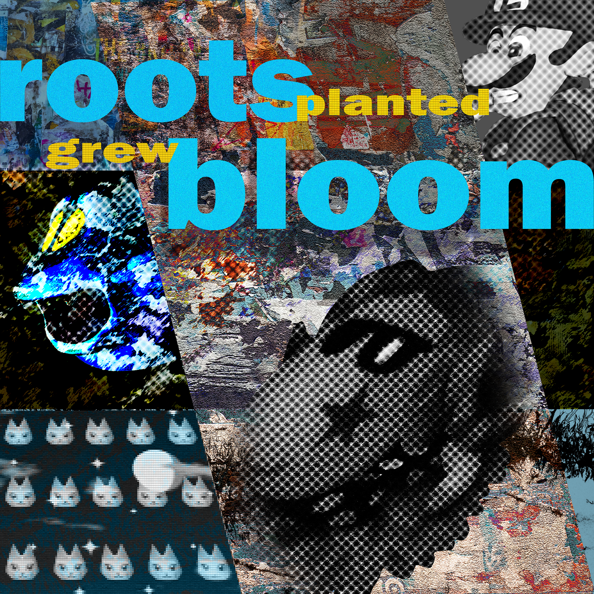 roots bloom
