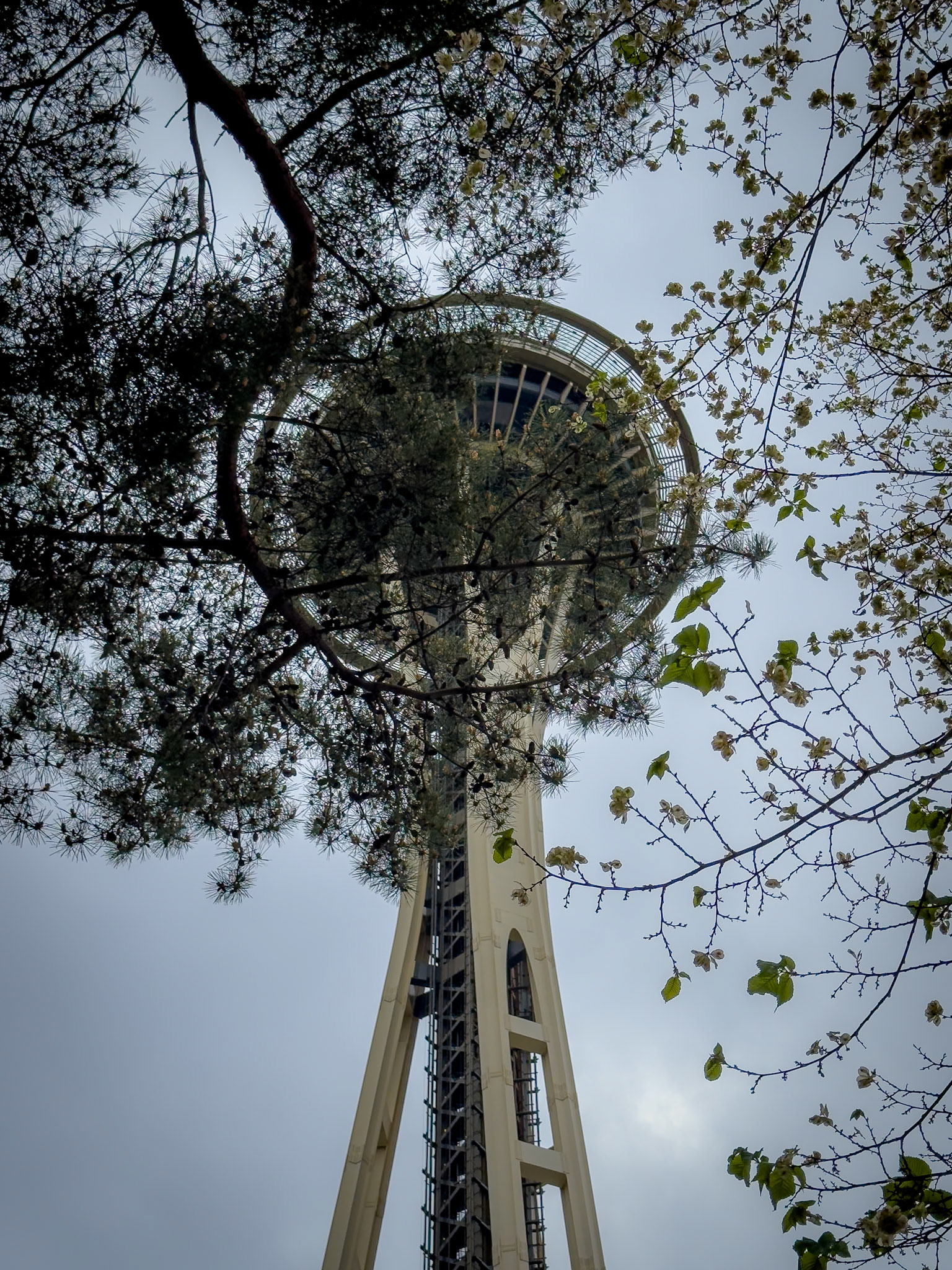 Space Needle