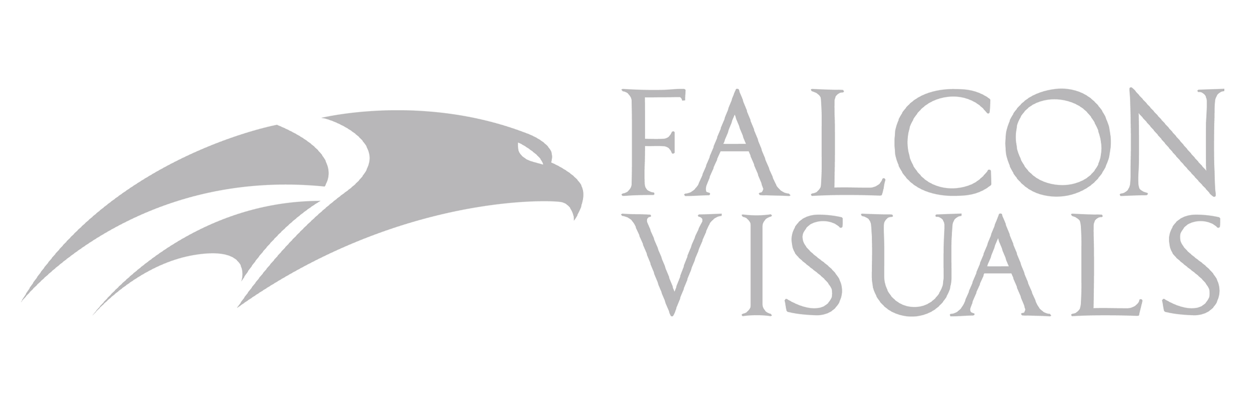 Falcon Visuals