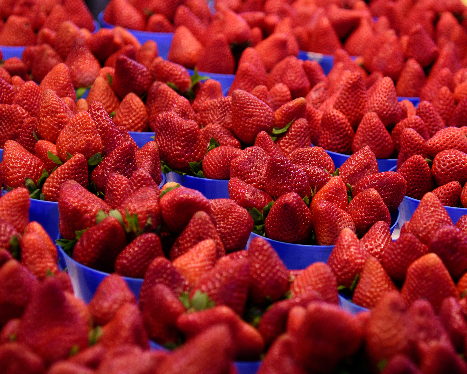 Photographie culinaire