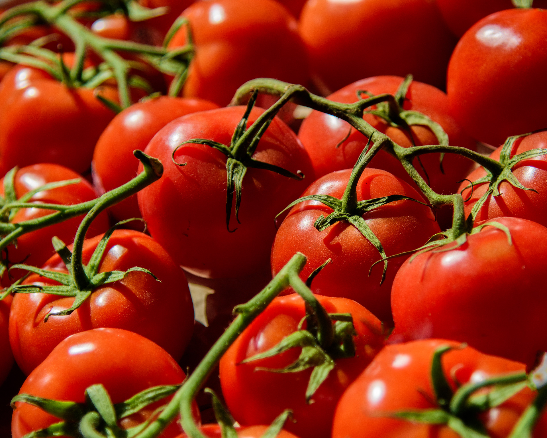 Photographie culinaire