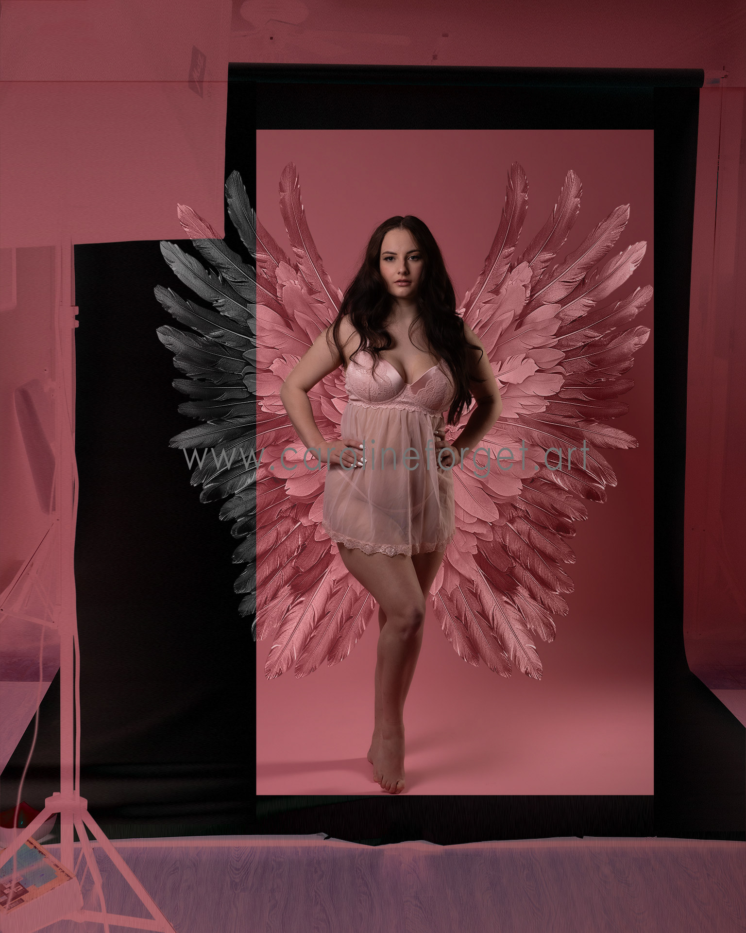 Wings / Ailes