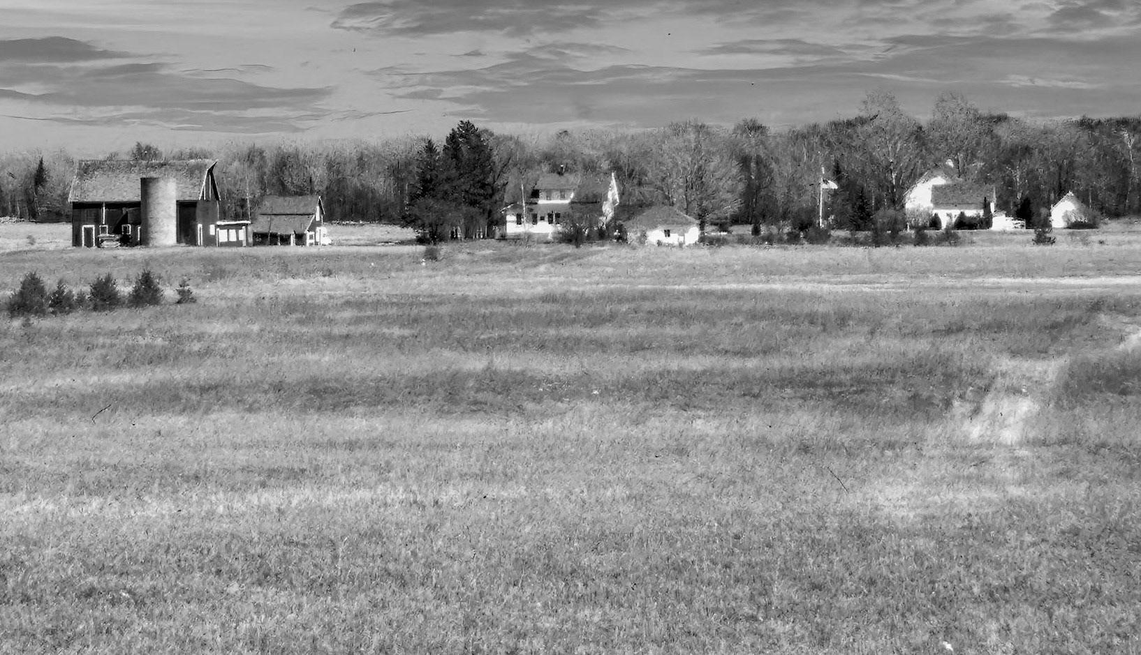 We all miss the farm