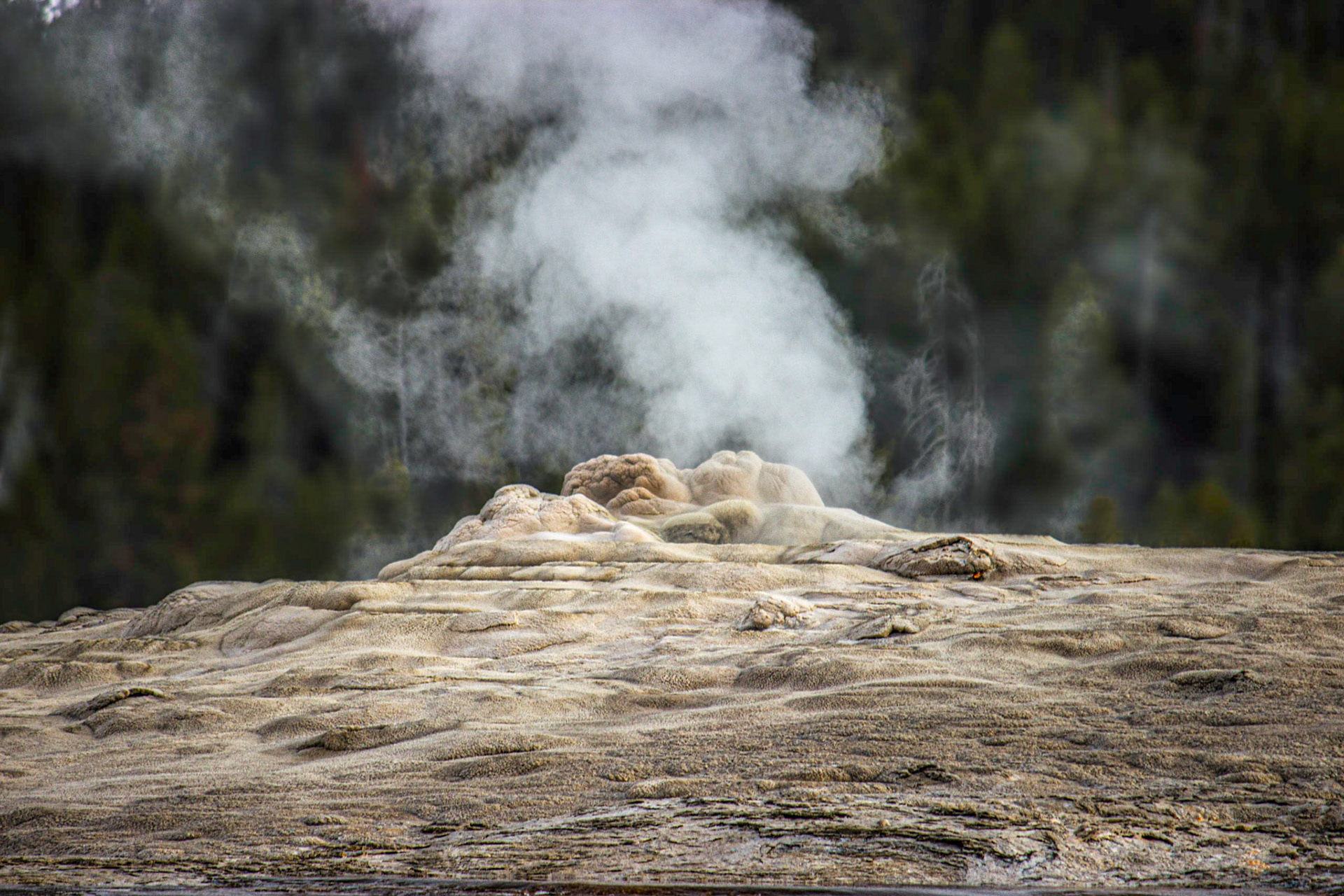 Old Faithful