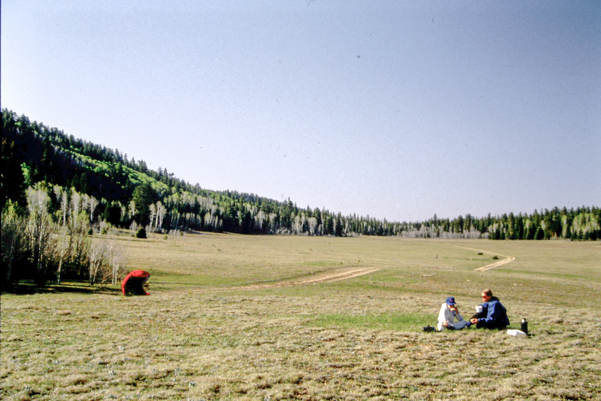 Kaibab Plateau