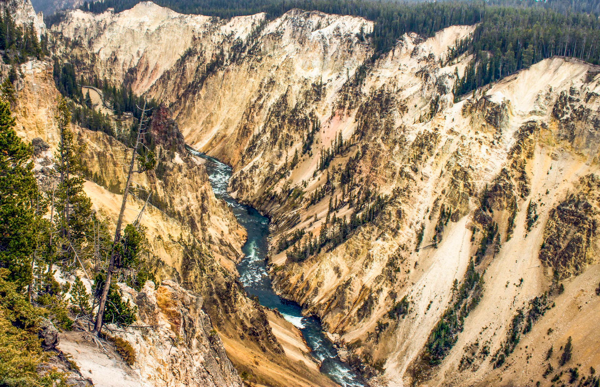 Grand Canyon of the Yellowstone