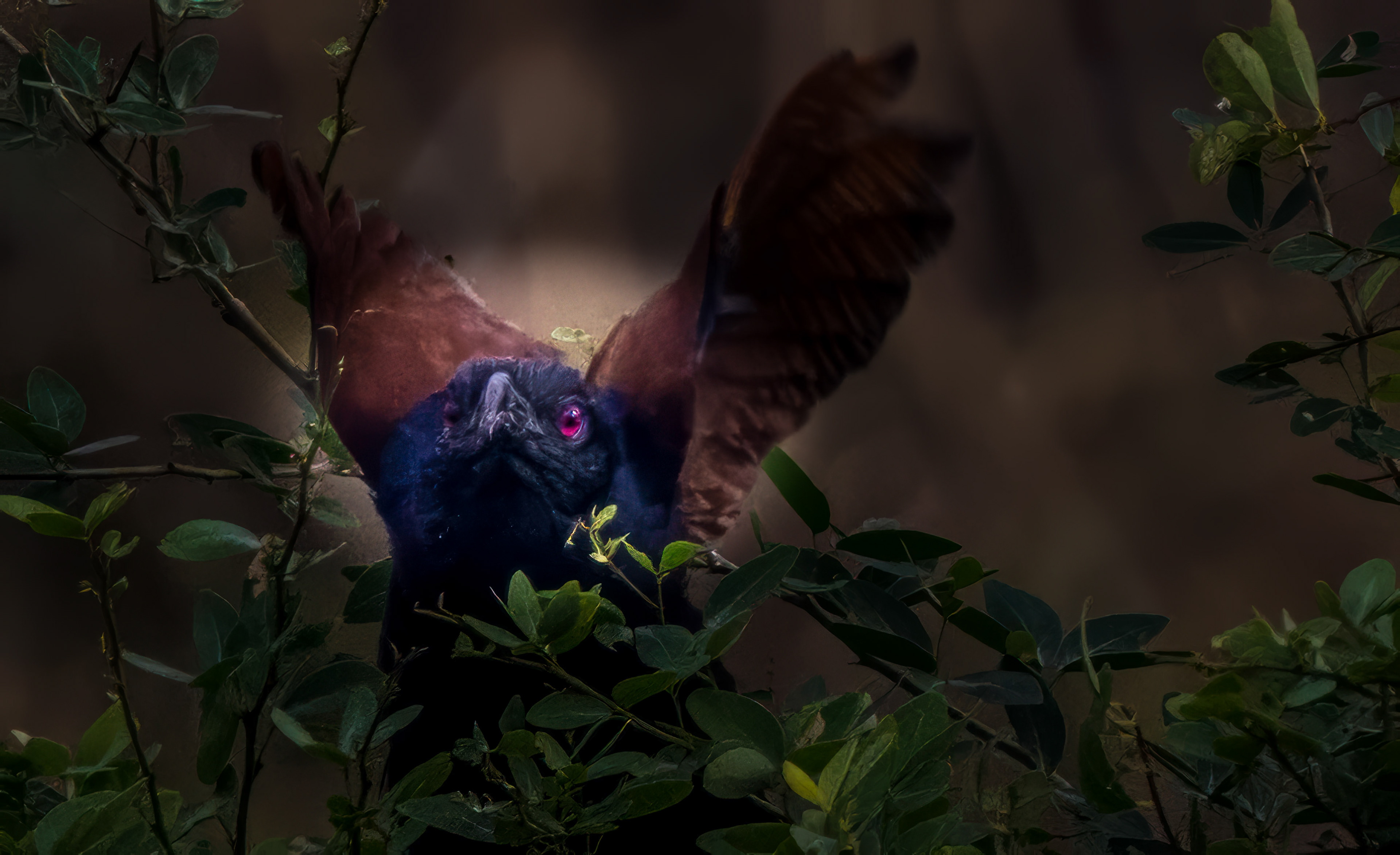 Folklore has these birds connected to the spirit world and a sign of good fortune.