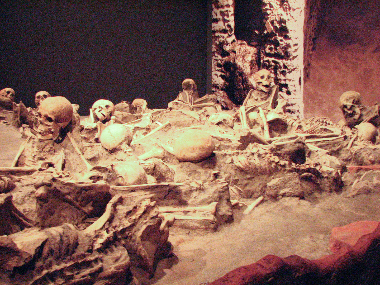 Denver Museum