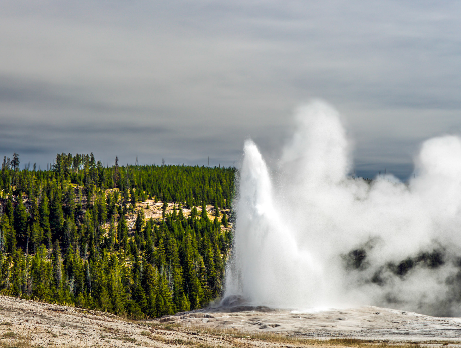Old Faithful