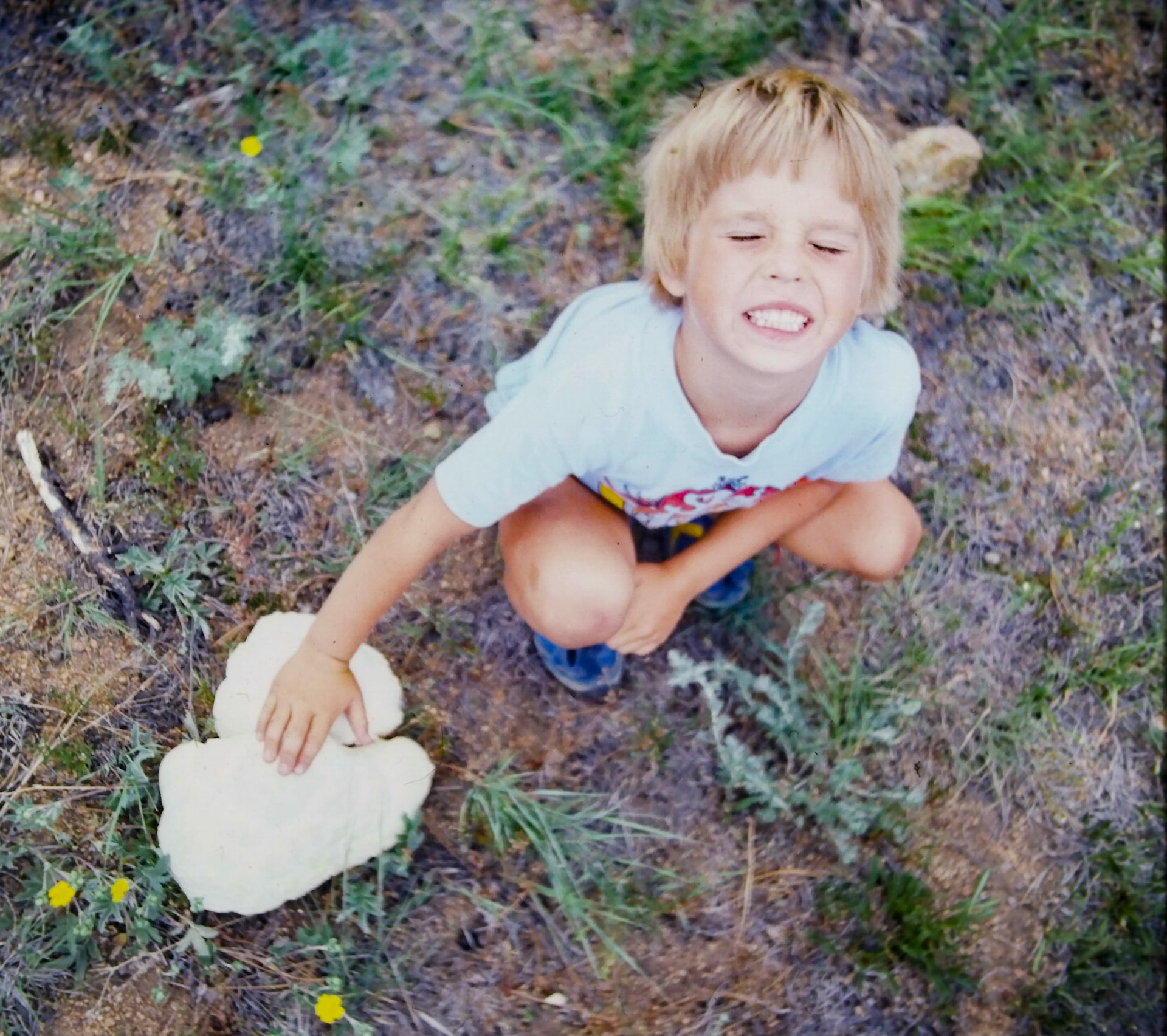 Mikie With A Big Fungus