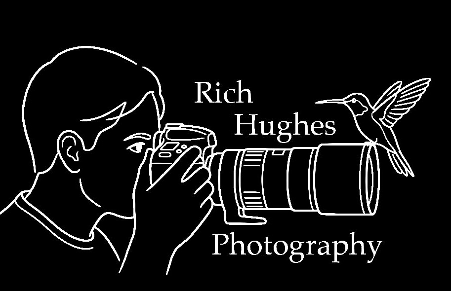 Rich Hughes