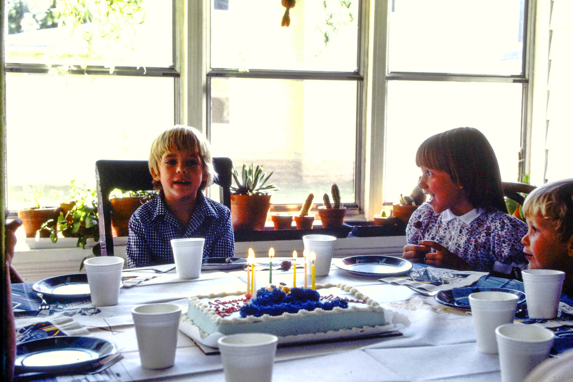 Mike's BD Party 1982